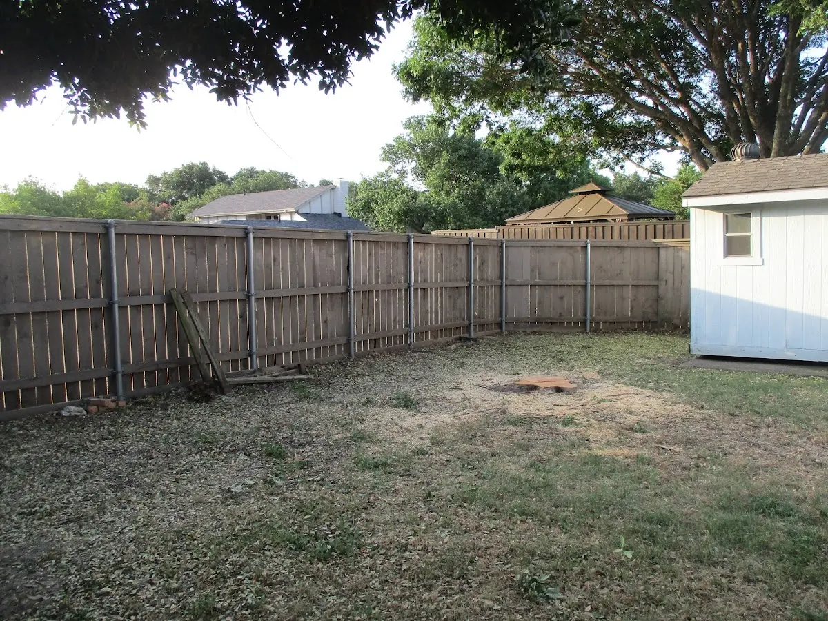 Cleared yard after professional tree removal in West Rutland